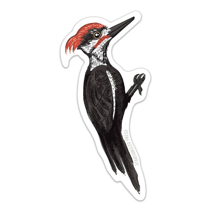 Woodpecker Sticker for wholesale by Starfangled Press