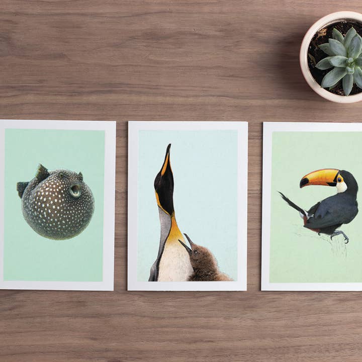 Hidden Planet - Wholesale Valentine's Day Card - Unsolicited Dik Dik Pic, funny valenines Card
