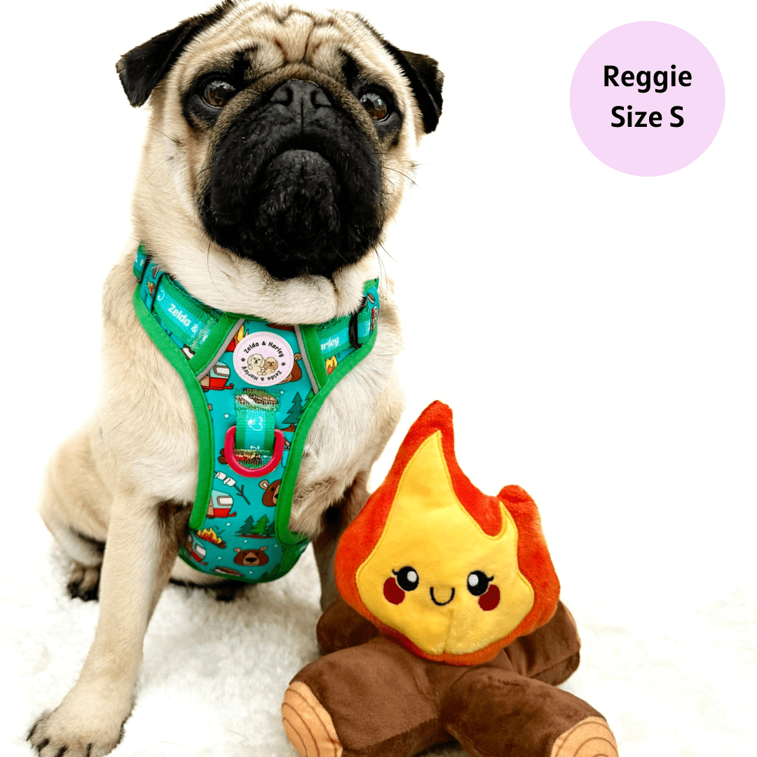 Zelda & Harley | The Dog Mom Store - Wholesale Pet Harness - Dog - Bark Ranger - Adventure No Pull Harness2