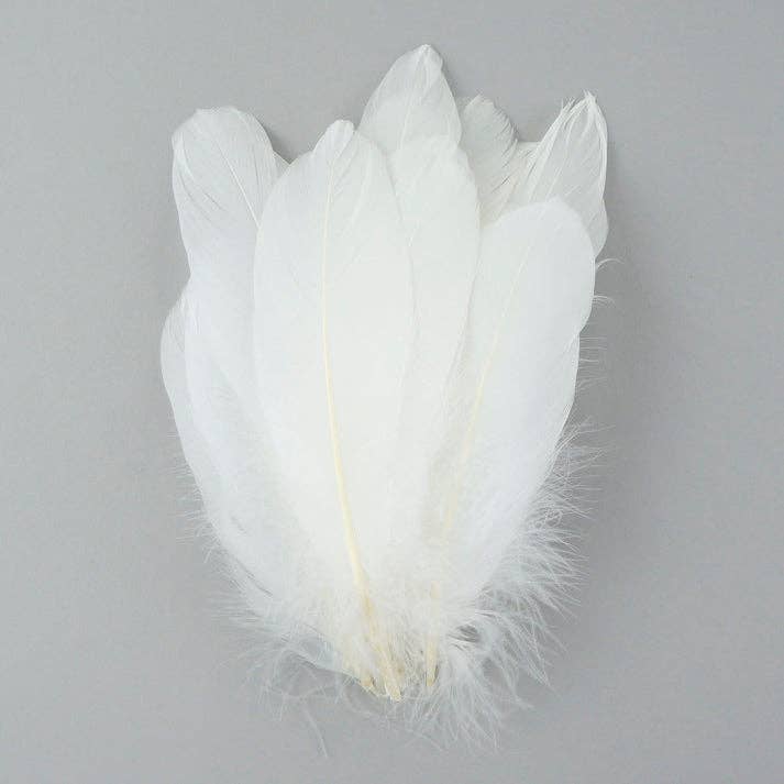 Zucker Feather Products - Wholesale Feathers - Goose Pallet Feathers 6-8" - 12 pc - White4