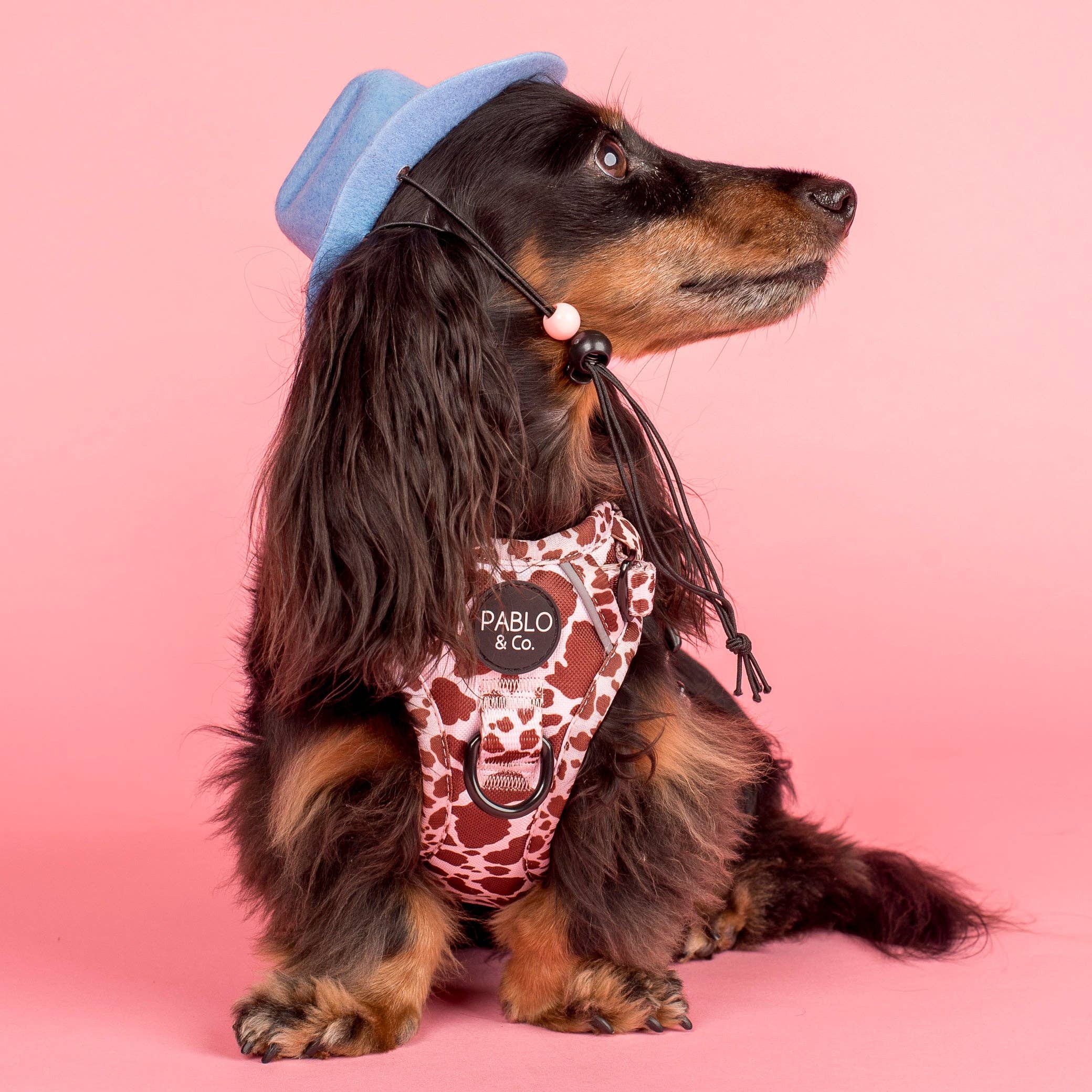 Pablo & Co. Boutique - Vente Chapeau – chien - Chapeau de Cowboy9
