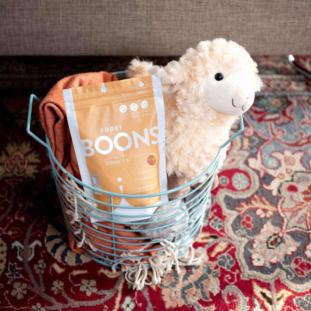 Stork and Dove - Wholesale Cookie - Booby Boons Lactation Cookies: Caramel Crunch3