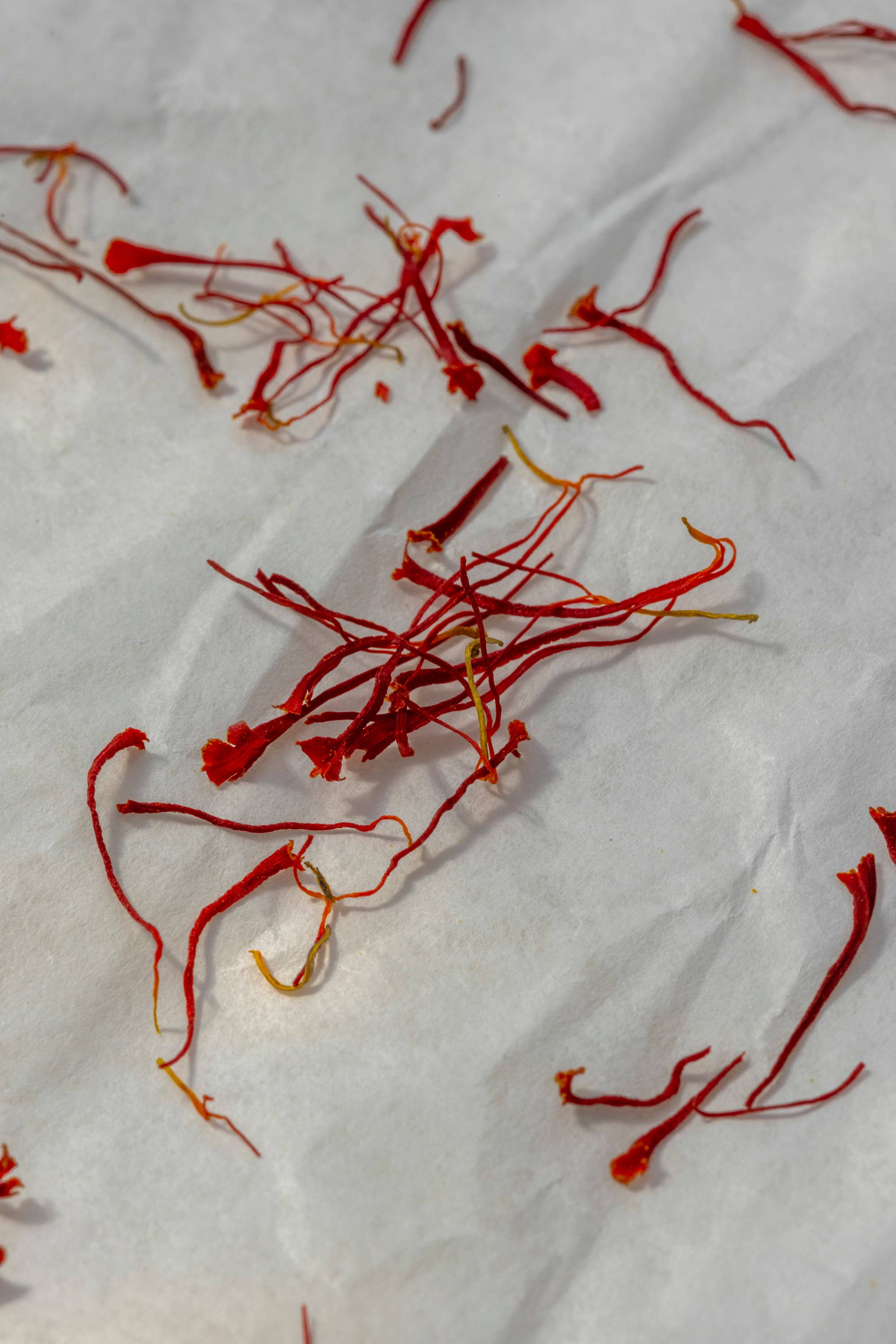 Daphnis and Chloe - Wholesale Dried Spice - Saffron from Kozani1