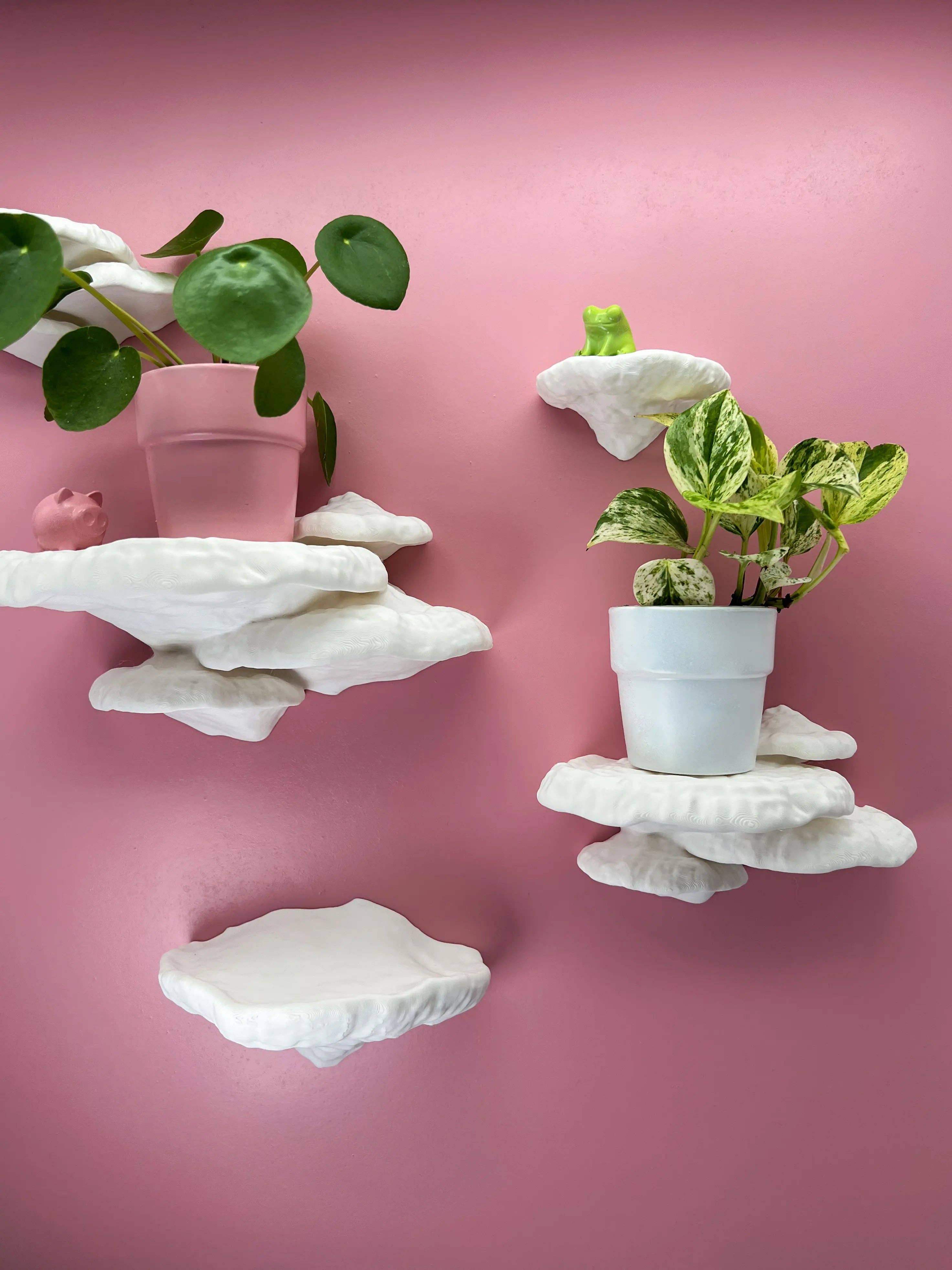 Roomberry - Wholesale Wall Mounted Shelf - Tree Sponge Mushroom Wall Shelf Set5