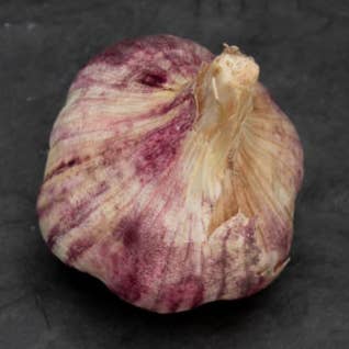 Black Garlic (made from Violet Garlic) for wholesale by Ail Noir Bio