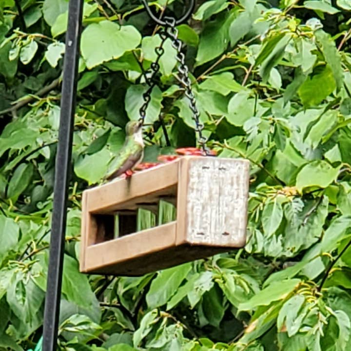 Flying Heart Threads - Wholesale Bird Feeder - Authentic Barnwood Hummingbird Feeder hanging or for window 1