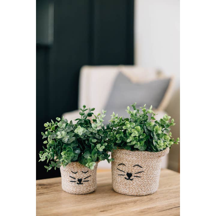 Ten Thousand Villages - Wholesale Basket - Cat Face Jute Basket - Mini4