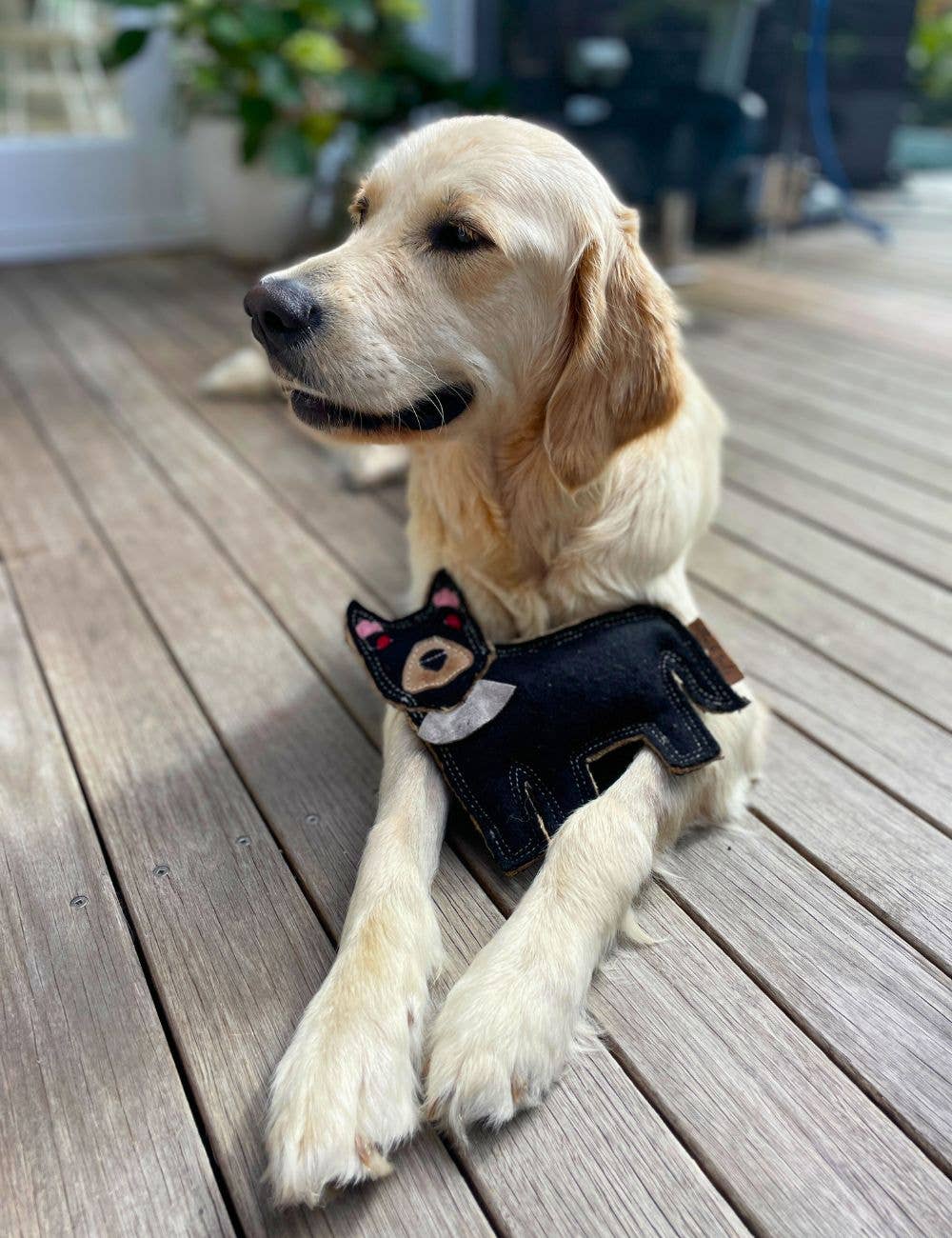 Outback Tails – wholesale Mjukisdjur - Hund – Outback filtleksak - Tassie Devil1