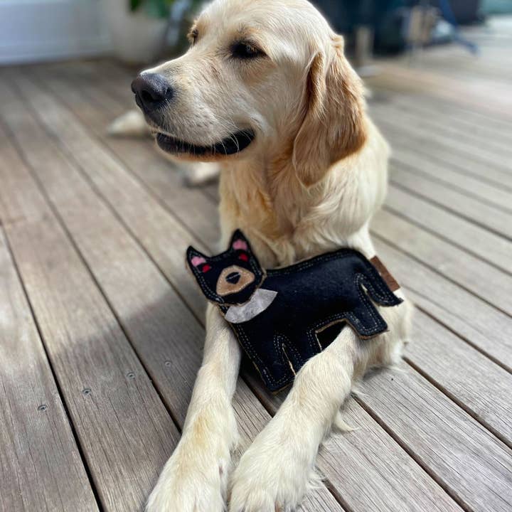 Outback Tails - Wholesale Pet plush toy – Dog - Outback Felt Toy - Tassie Devil1