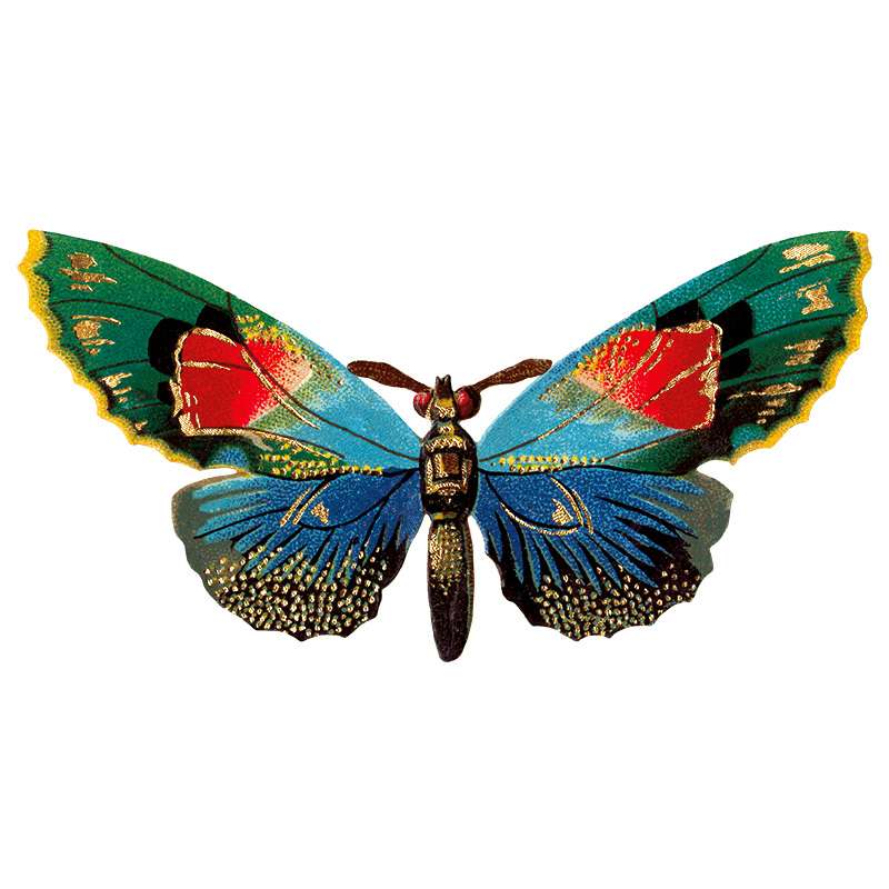 Laughing Elephant – Großhandel Aufkleber – Butterfly Box — Stickerbox für den täglichen Gebrauch14