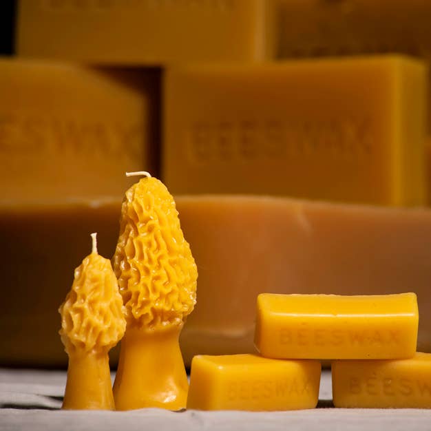 Waxing & Raining Handmade Goods - Wholesale Novelty Candle - Beeswax Morel Mushroom Candles | Beeswax Candle | Non-toxic