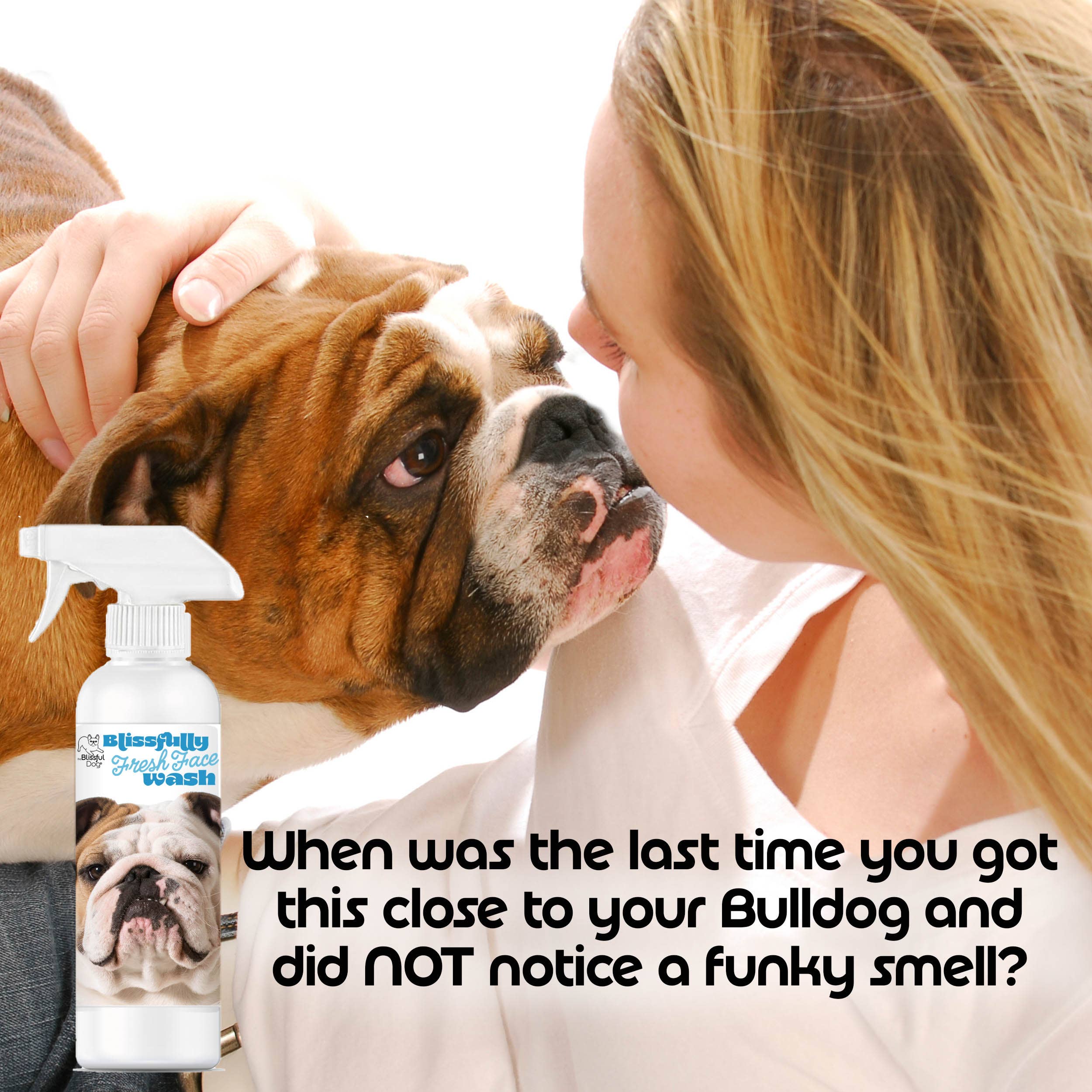 The Blissful Dog - Wholesale Pet Cleaning Supplies - Blissfully Fresh Face Wash I 4, 8 & 16 oz1