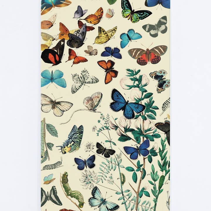 Cognitive Surplus - Wholesale Planner - Butterfly Yearly Planner (Case of 6)1