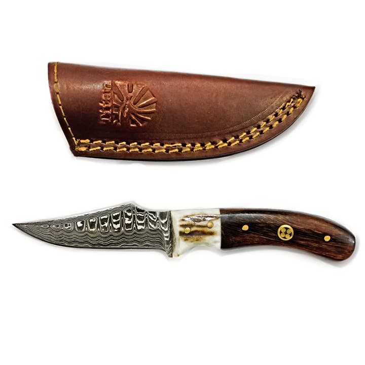 Titan International - Wholesale Pocket Knife/Holder - Damascus Steel Skinner Knife, Stag & Walnut Grip by Titan Td1