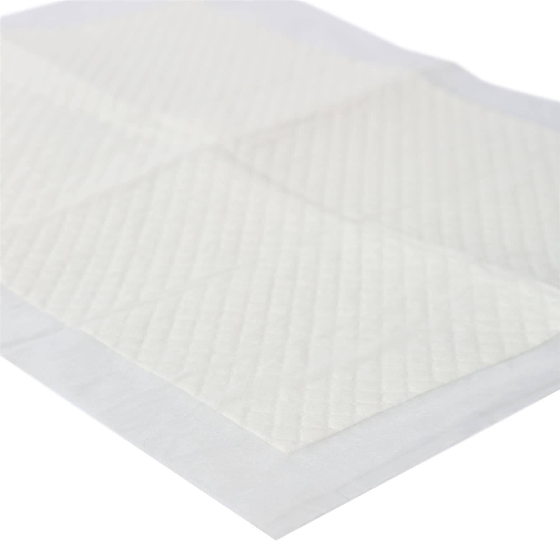 Rinkit Ltd - Wholesale Pet Cleaning Supplies - Disposable Puppy Training Pads - 32.5cm x 45cm - Pack of 501