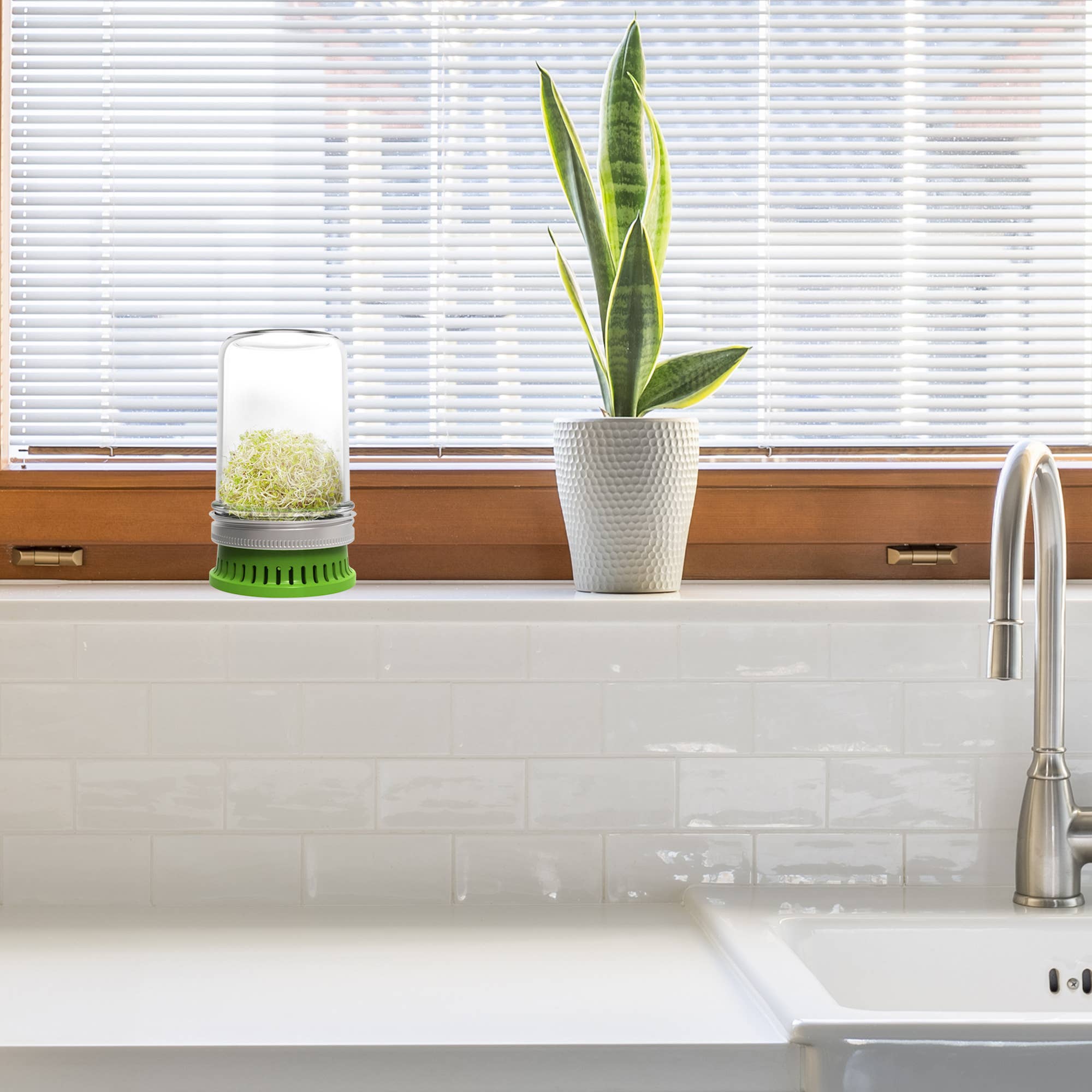 Fox Run Brands – wholesale Plant seeds – Jarware Seed Sprouter Lid for Wide Mouth Mason Jar1