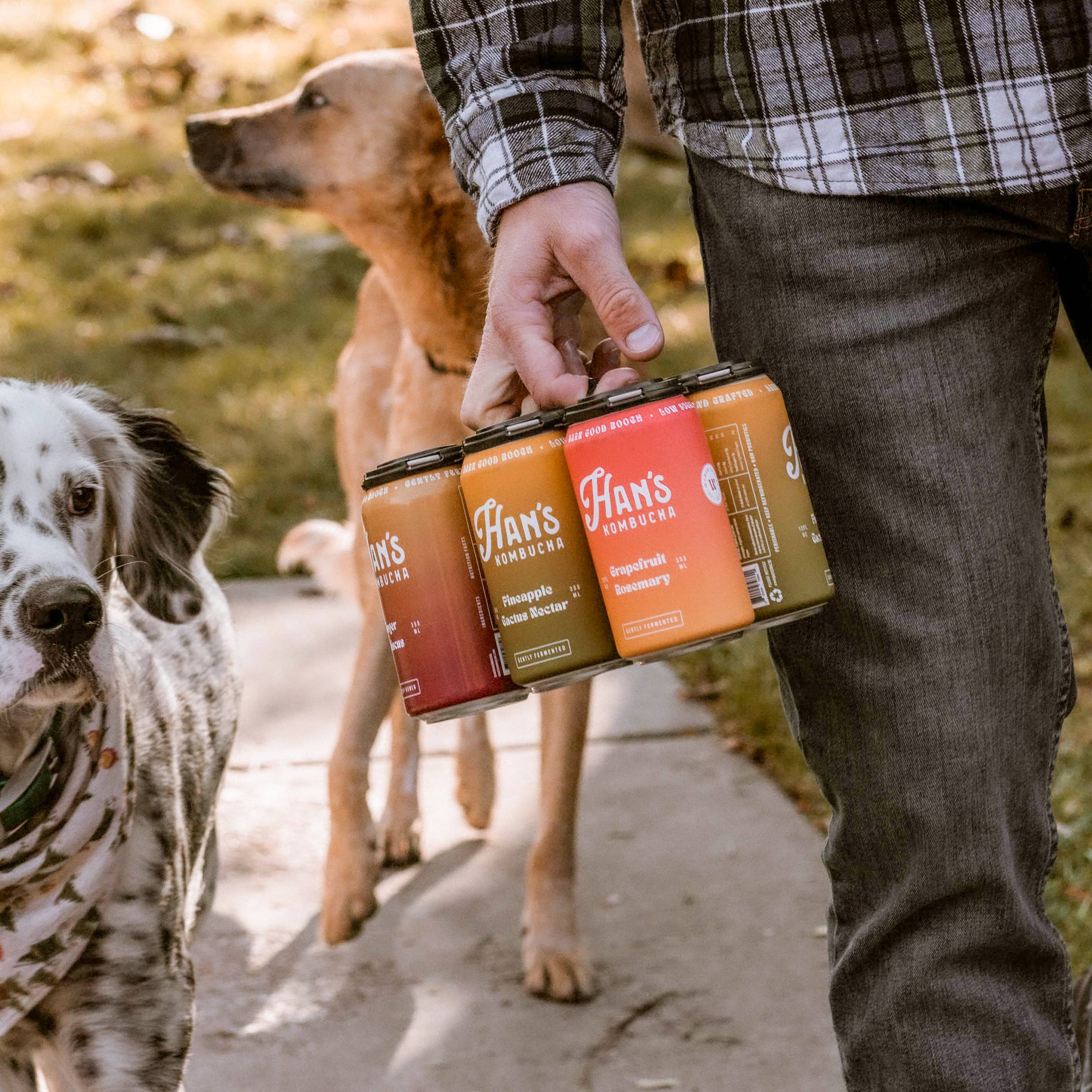 Han's Kombucha by HK Brewing Collective - Wholesale Kombucha - Ginger Hibiscus Kombucha6