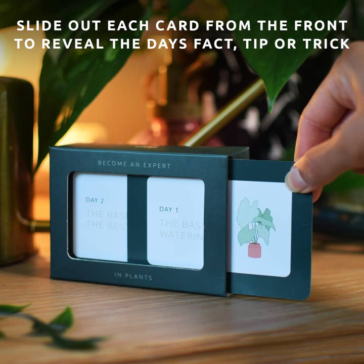 Pikkii – wholesale Plant seeds – Become an Expert in Plants in 90 Days Slide Box | Plant Gift3