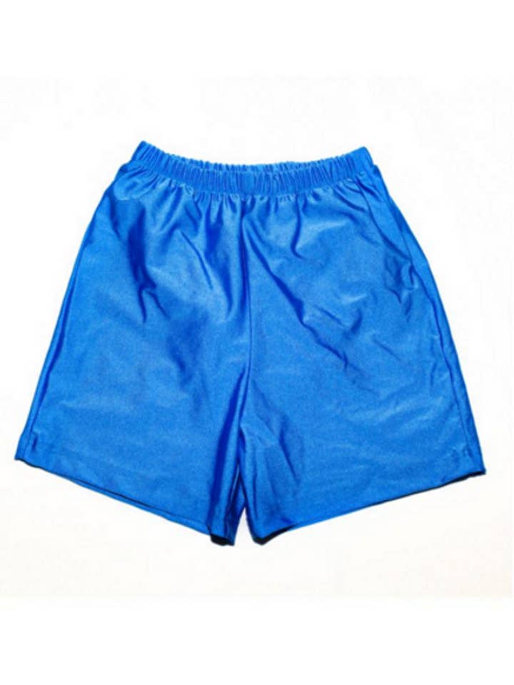 Swim-sters Reusable Trunks with Built-in Swim Diaper - Blue for wholesale by My Pool Pal