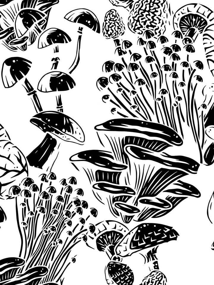 Black & White Mushrooms | Modern Wallpaper | Peel and Stick for wholesale by Inspire 360