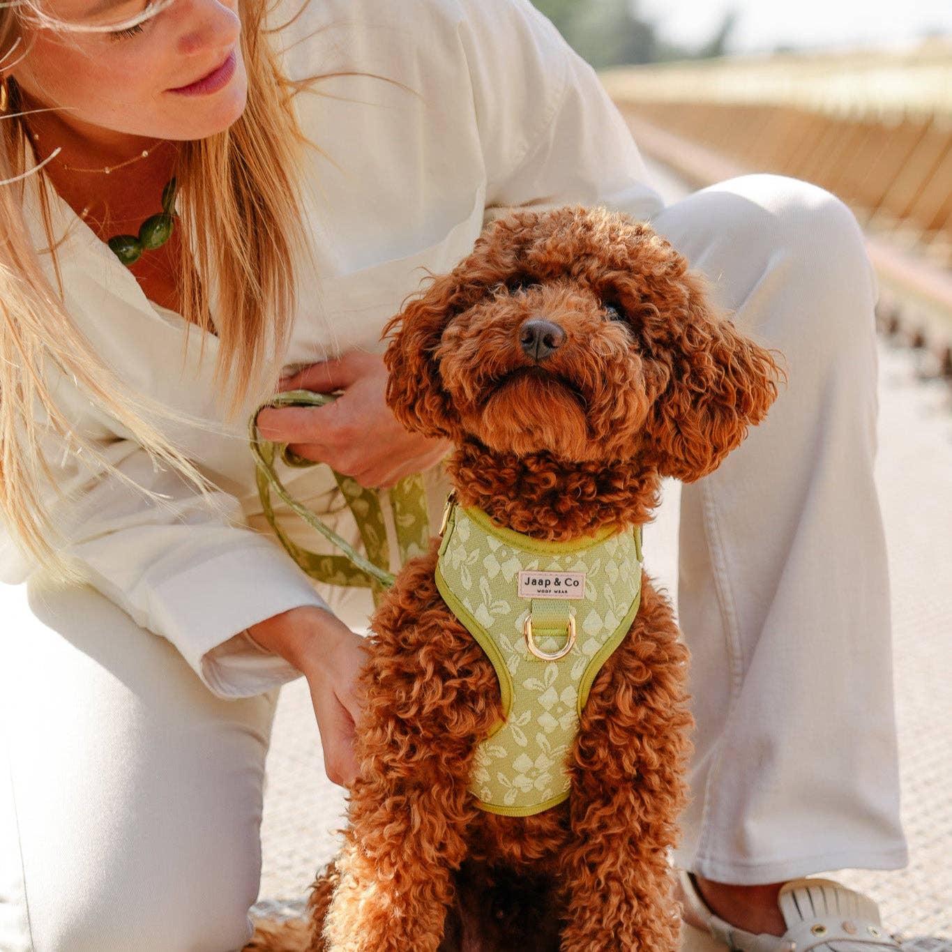 Jaap & Co - Woof Wear - Wholesale Pet Harness - Dog - Botanical Glow - Dog Harness1