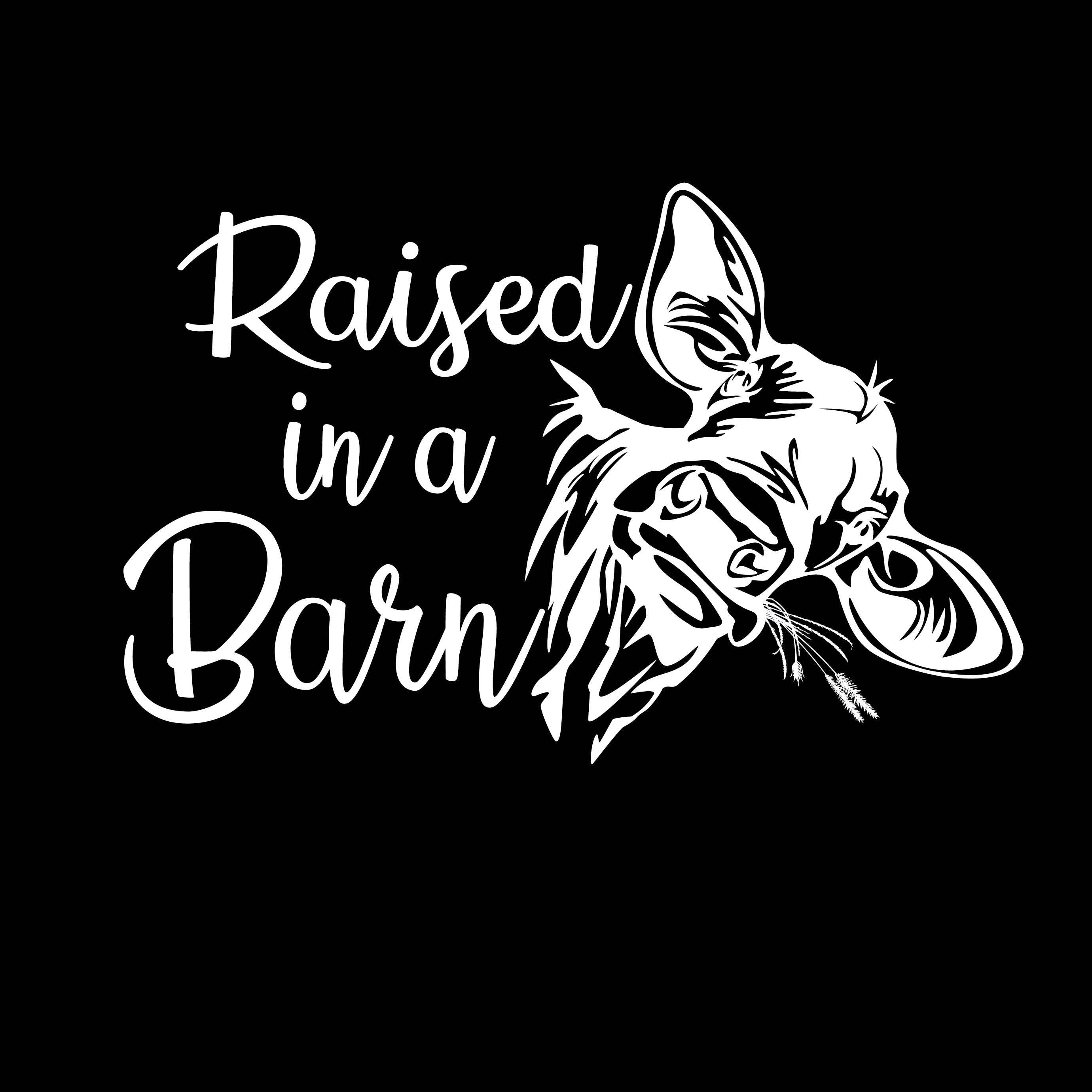 Svart Uppvuxen i ladugård för wholesale på Faire0