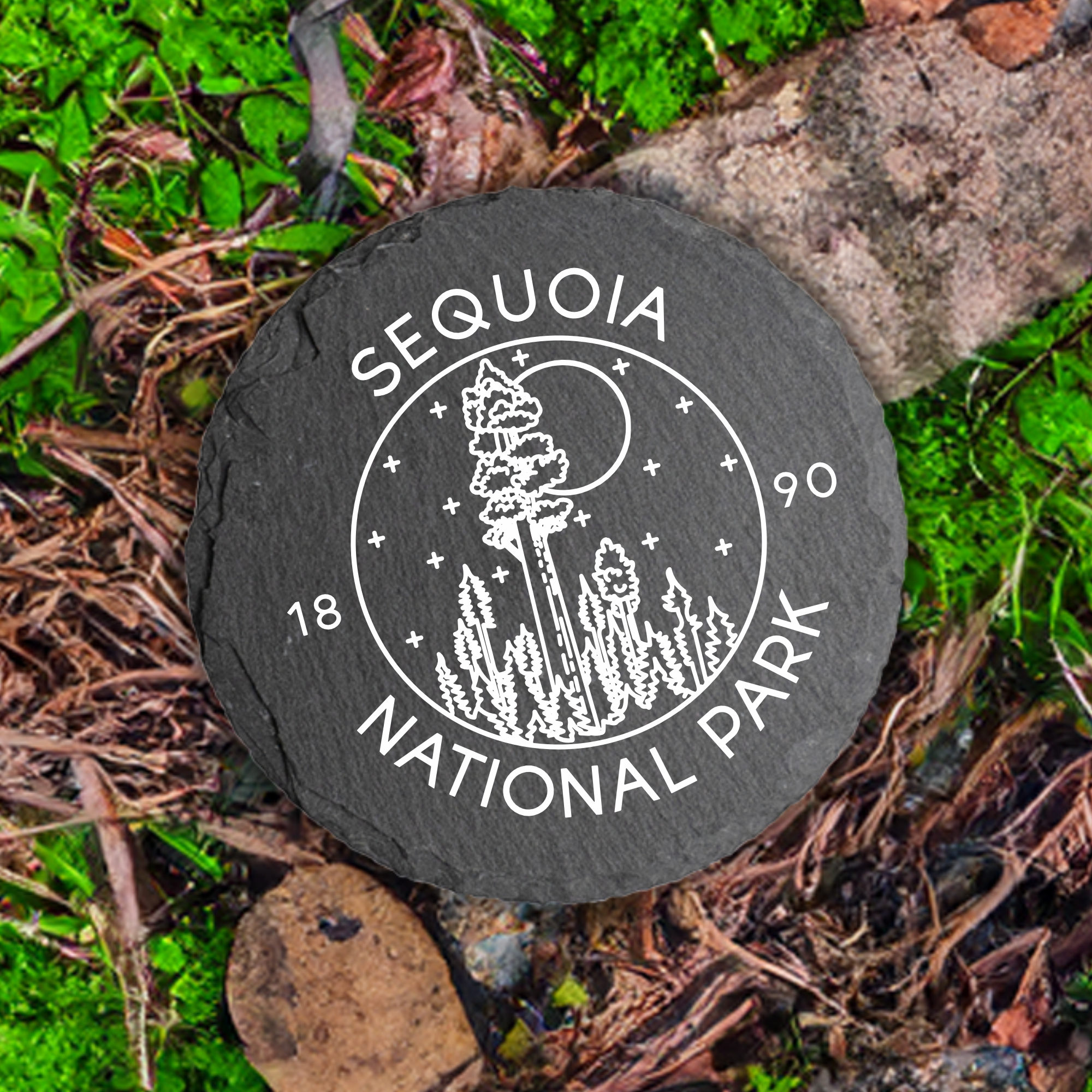 Blue Ridge Mountain Gifts - Wholesale Coasters - Sequoia National Park - UV Printed Coasters0
