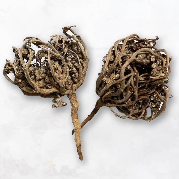 Herbes du monde – wholesale Loose tea – Jericho Rose - Chajarat Maryam - Bulk 1 kilo