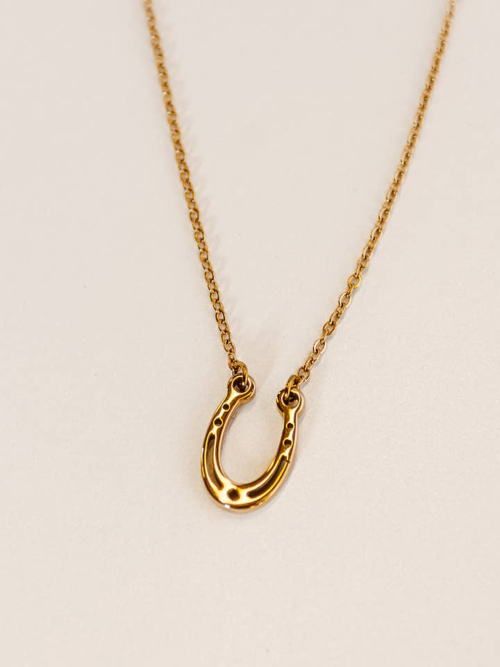 Lucky Horseshoe Western Necklace for wholesale by Shop Good
