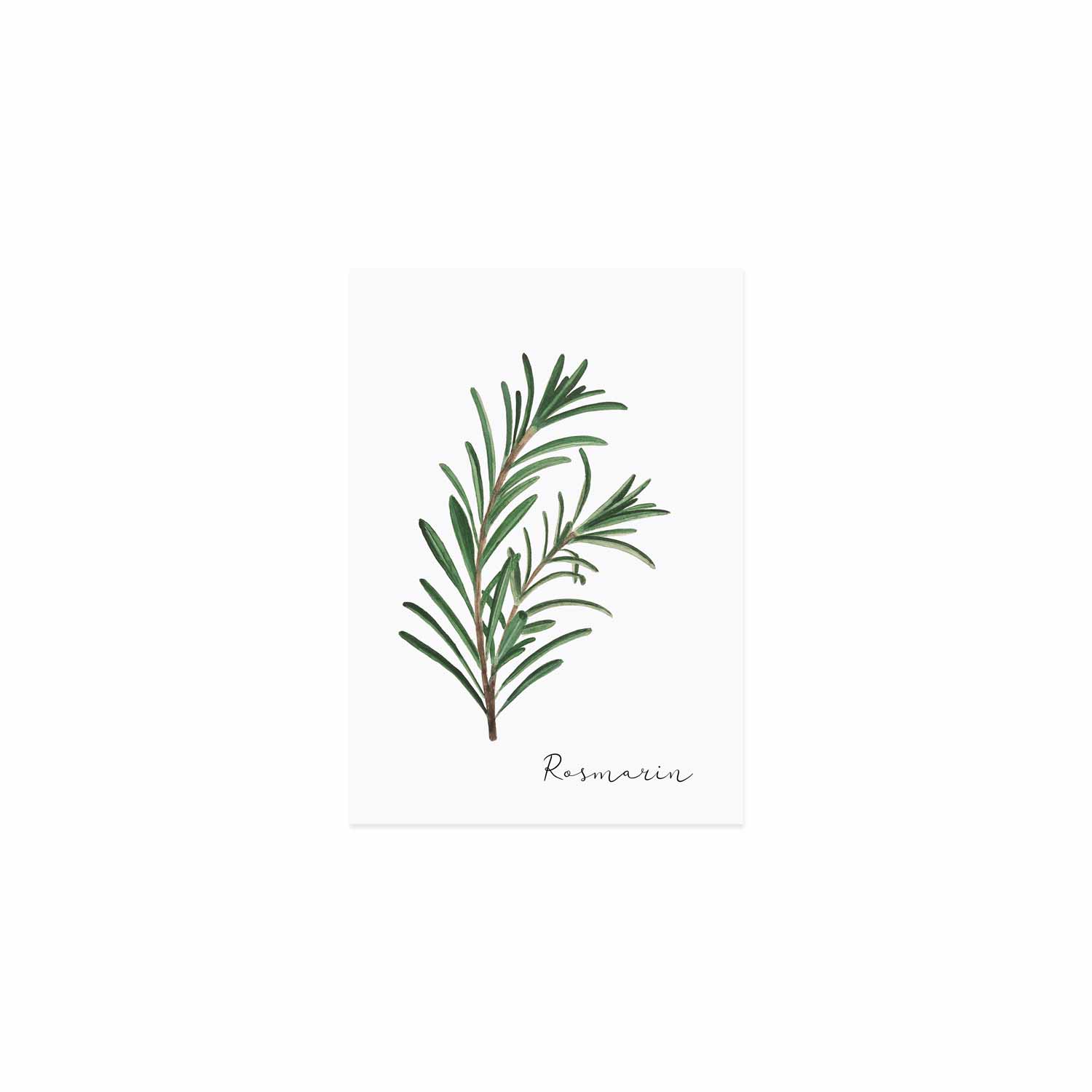 Eulenschnitt - Wholesale Everyday Greeting Card - herb menu rosemary (pack of 10)1