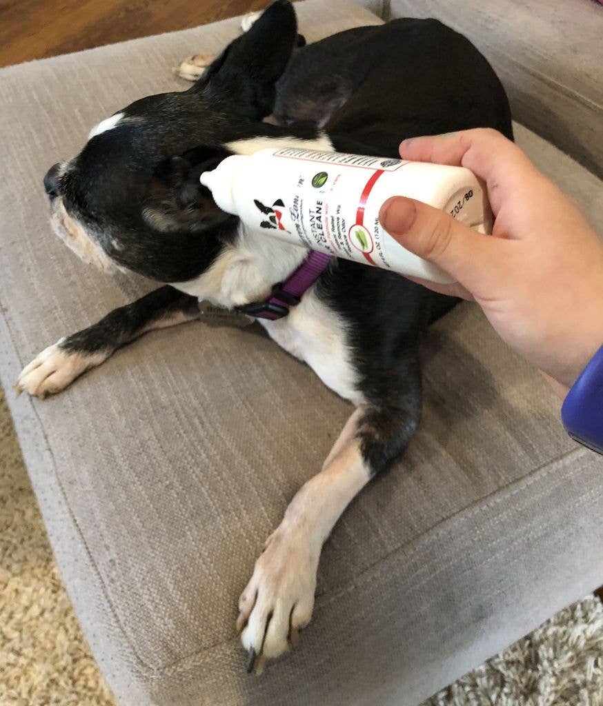 Warren London Dog Products - Wholesale Pet Grooming Aid - Dog - Instant Ear Cleaner - 3 Sizes5