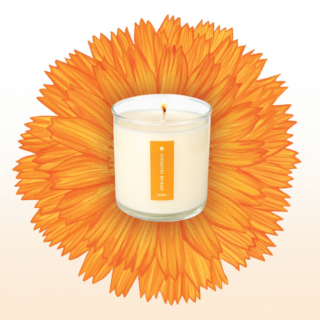 KOBO - Vendita all'ingrosso Candela in vasetto - Candela Catalan Calendula - Plant the Box - 9oz.4