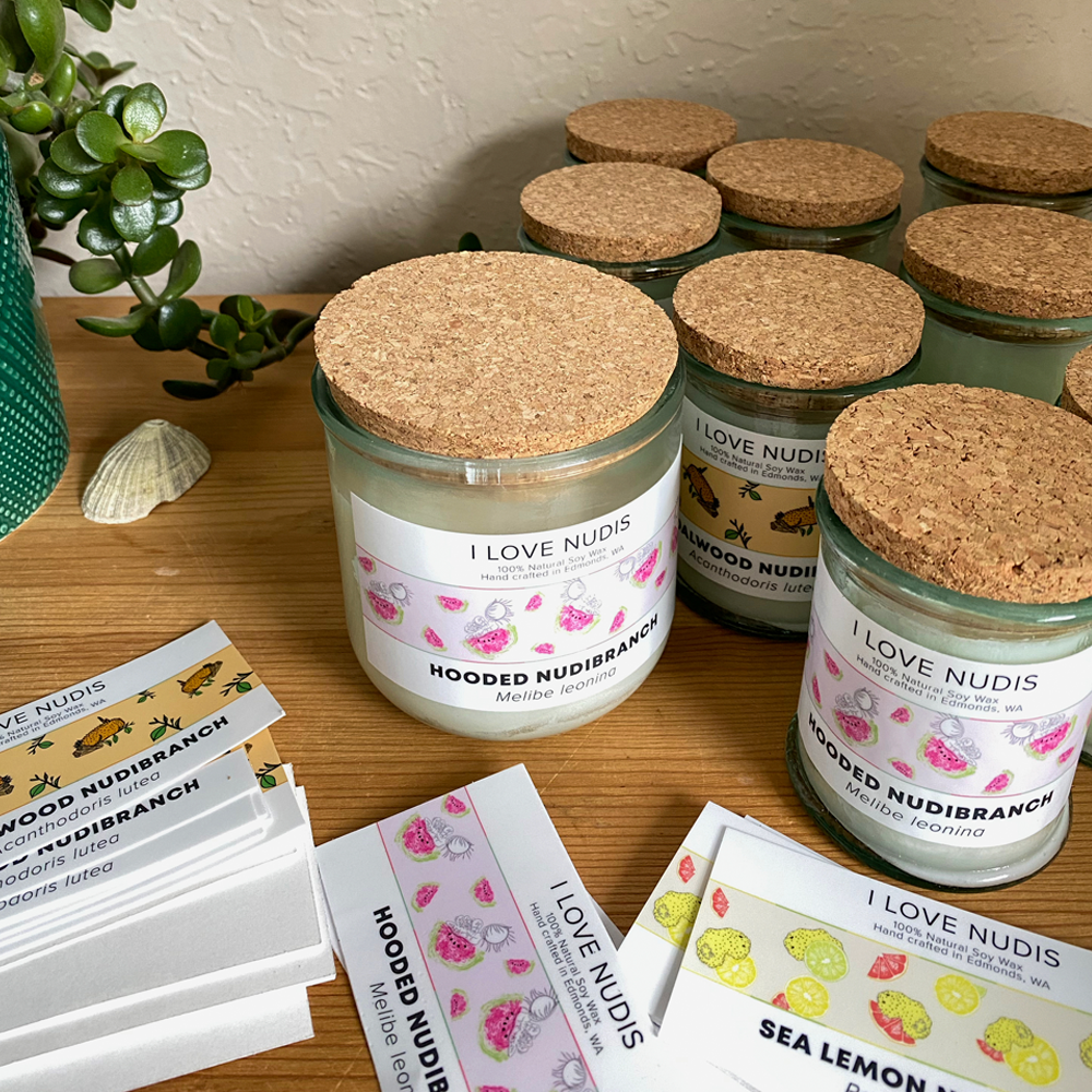 I LOVE NUDIS - Wholesale Jar/Filled Candle - Watermelon Candle inspired by the Hooded Nudibranch in Recycled Glass3