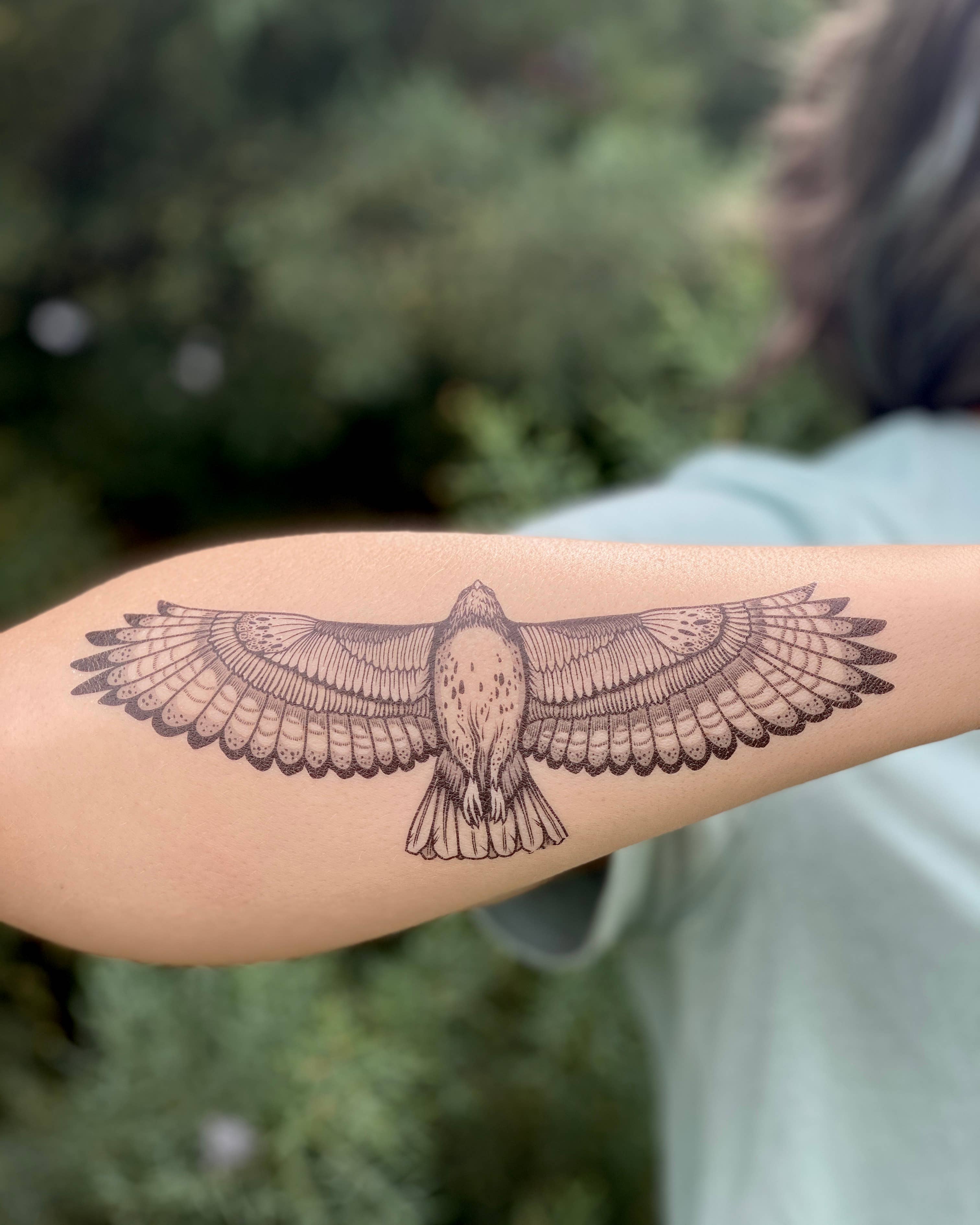NatureTats – Tatuagem temporária por atacado – Tatuagem Temporária do Falcão7