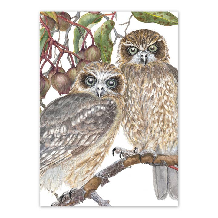 A6 Card: Boobook Owls for wholesale by STUDIO NIKULINSKY
