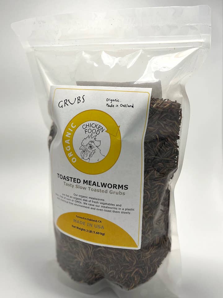 Vers de farine biologiques grillés 2 lb - Friandises pour poules pour la vente par Mighty Bugito Farms