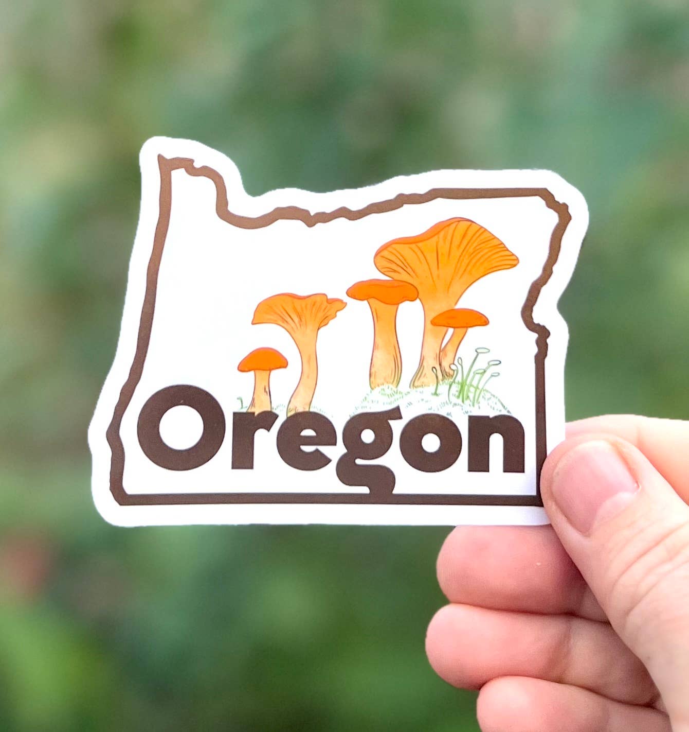 Underbrush Art - Wholesale Sticker - Oregon Chanterelle Sticker