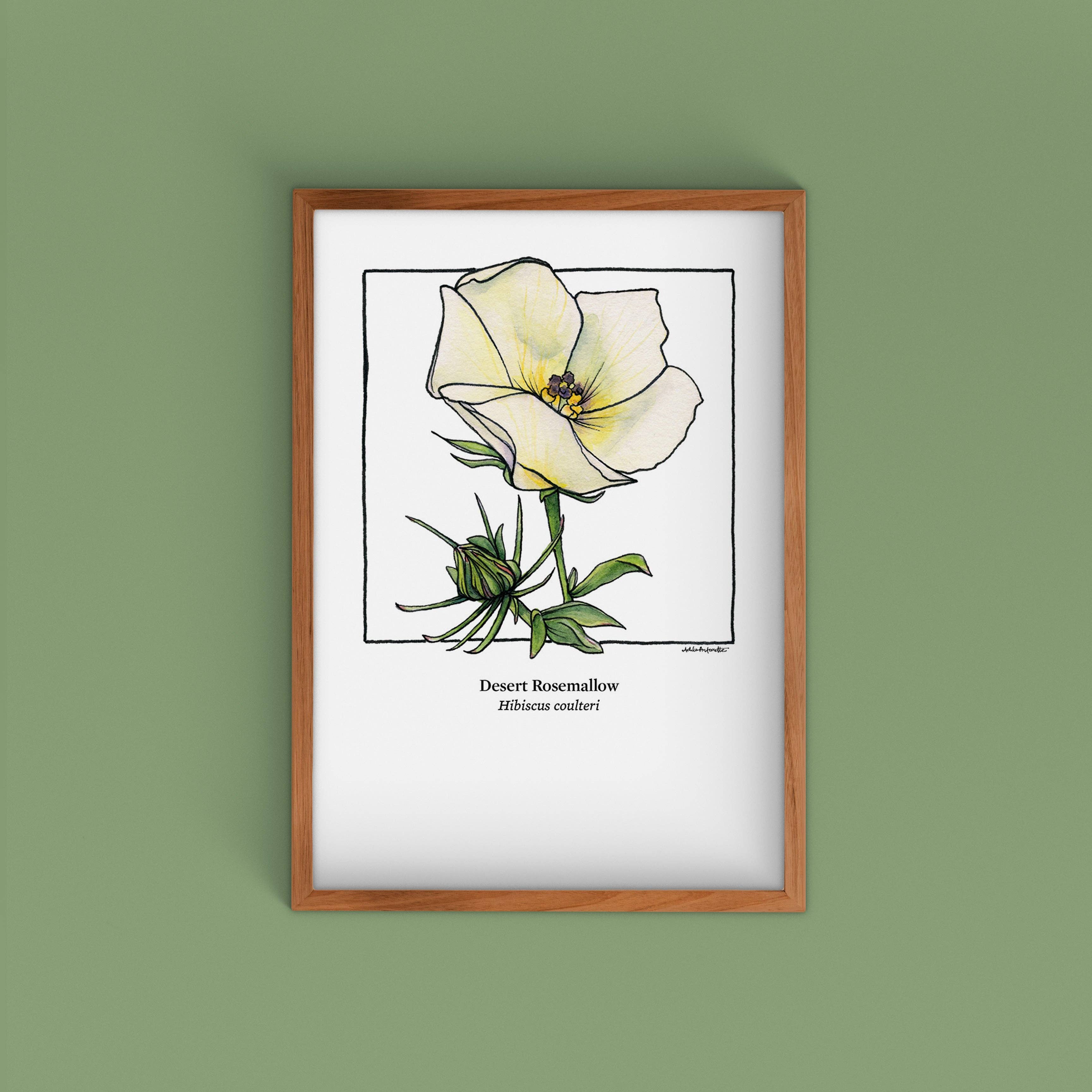 Cacti Oasis© - Wholesale Art Print - Watercolor Prints on Cotton Paper - 12 Designs10