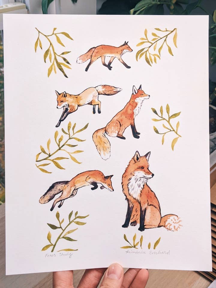 Fox Study - Impression artistique pour la vente par Kim Everhard Art