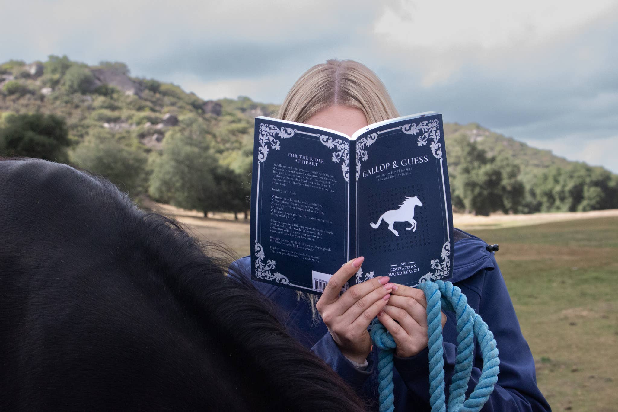 Stäbl Notes - Wholesale Coloring & Activity Book - Adult - Horse Word Search:100 Equestrian Word Searches1