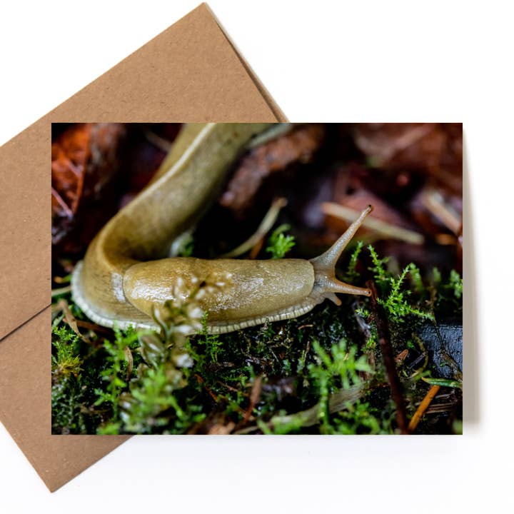 Carte de vœux « Banana Slug » avec photo sur la nature pour la vente par Andrea Morris Art