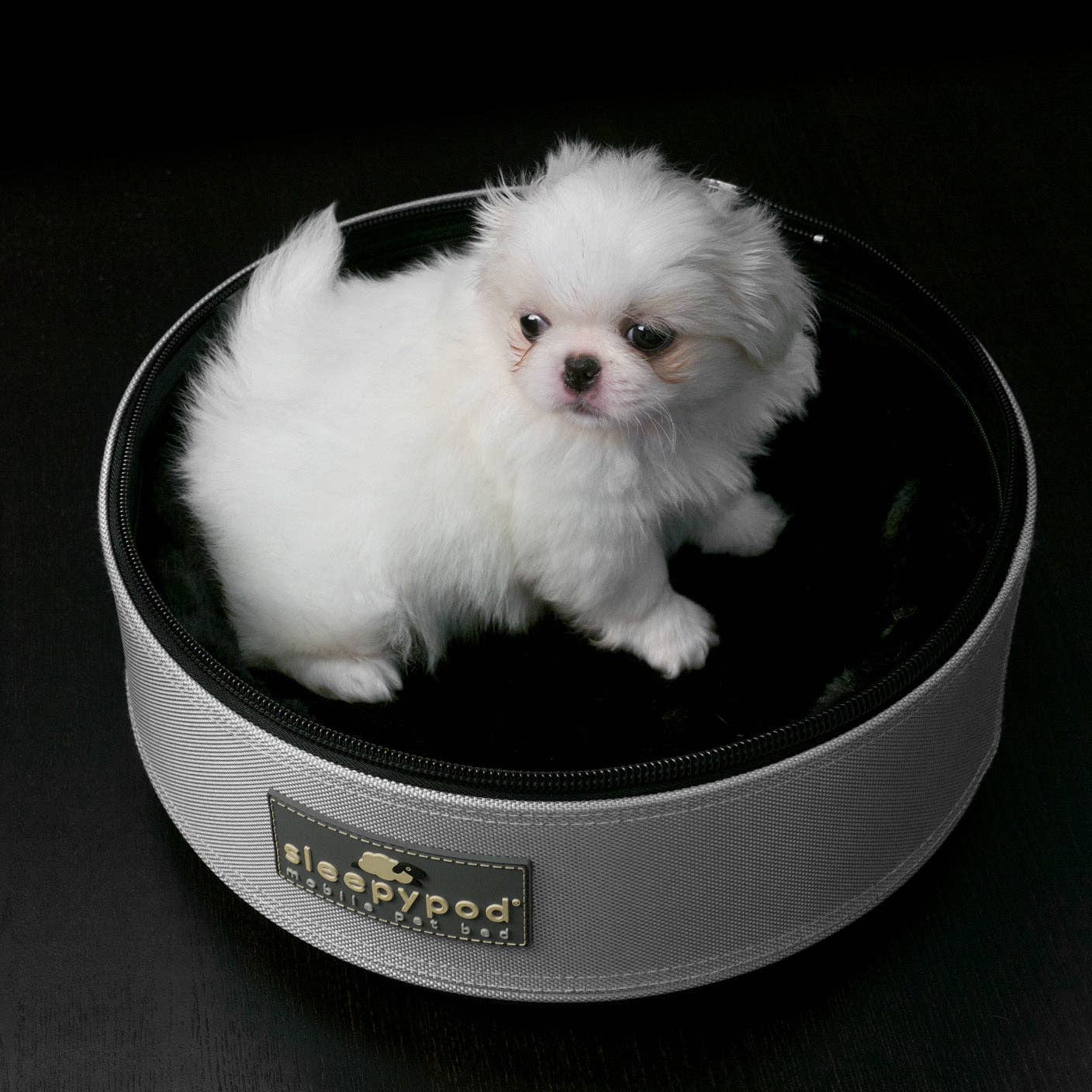 Sleepypod – wholesale Transportbur – Katt och hund – Sleepypod Mini för små husdjur12