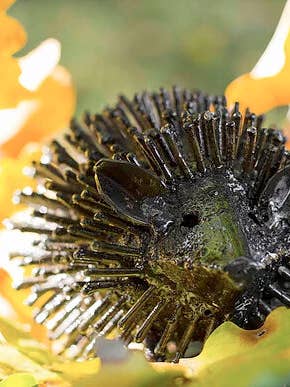 Recycled Metal Garden Artwork - Hedgehog for wholesale by chi-africa