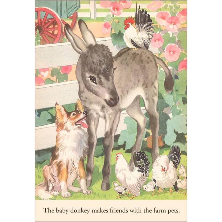 Postcard KF-214 Baby Donkey with Farm Animals for wholesale by Found Image Press