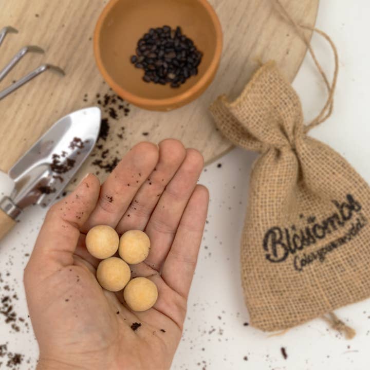 Blossombs - Wholesale Plant Seeds - Gift Box “Hooray” – Sunflower Mix (7 Sunflower Seed Bombs)1