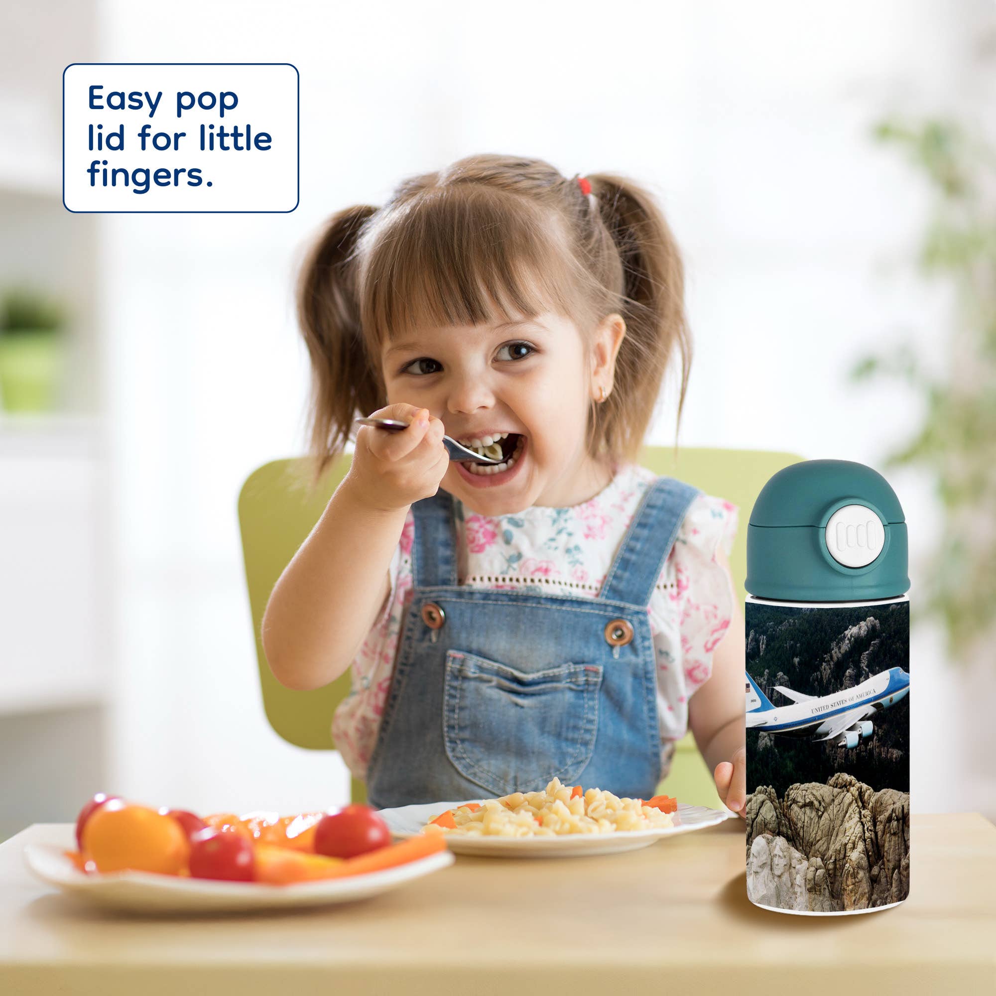 3dRose - Wholesale Water Bottle - 3dRose, Air Force 1 Flying Over Mount Rushmore.jpg, Kids Water Bottle7