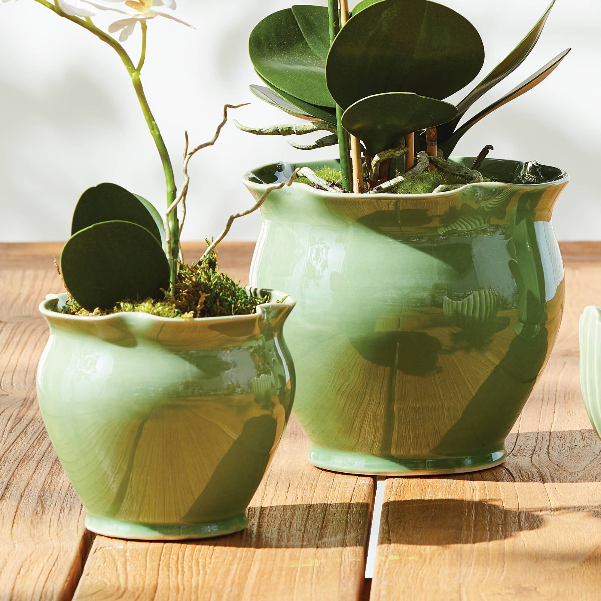 Napa Home & Garden - Wholesale Plant Pot - Megan Pots, Green1