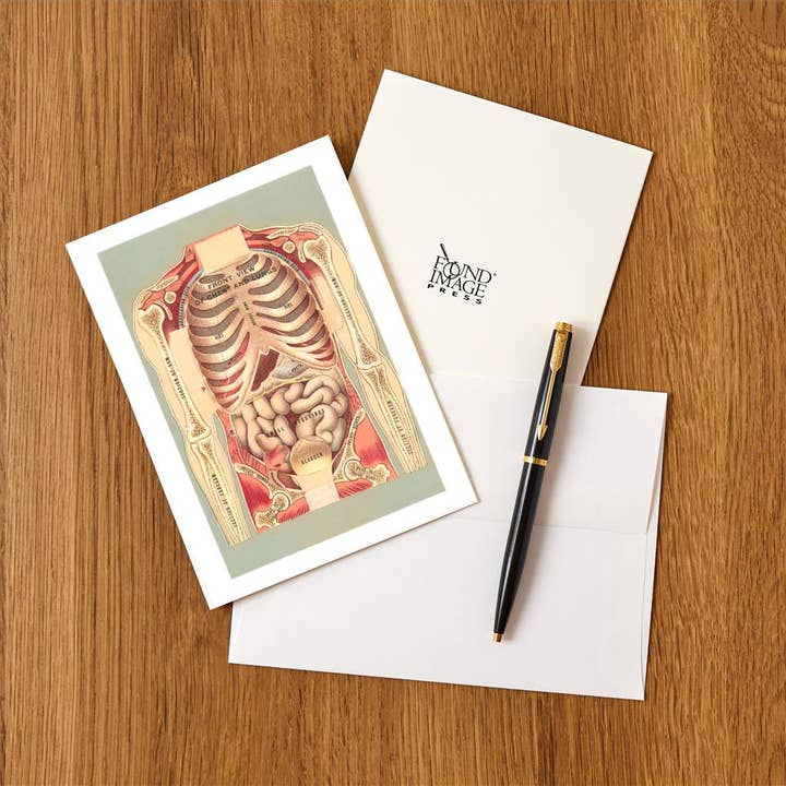 Found Image Press – Großhandel Briefpapier-/Postkarten-Set – Grußkarte AY-114 Knochen und Organe des Torsos