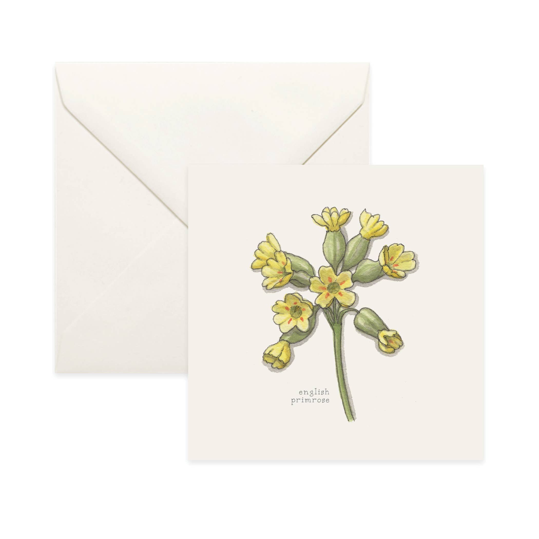 Yeesan Loh – wholesale Vardagliga hälsningskort – Kort/Blommor (2 av 3)7