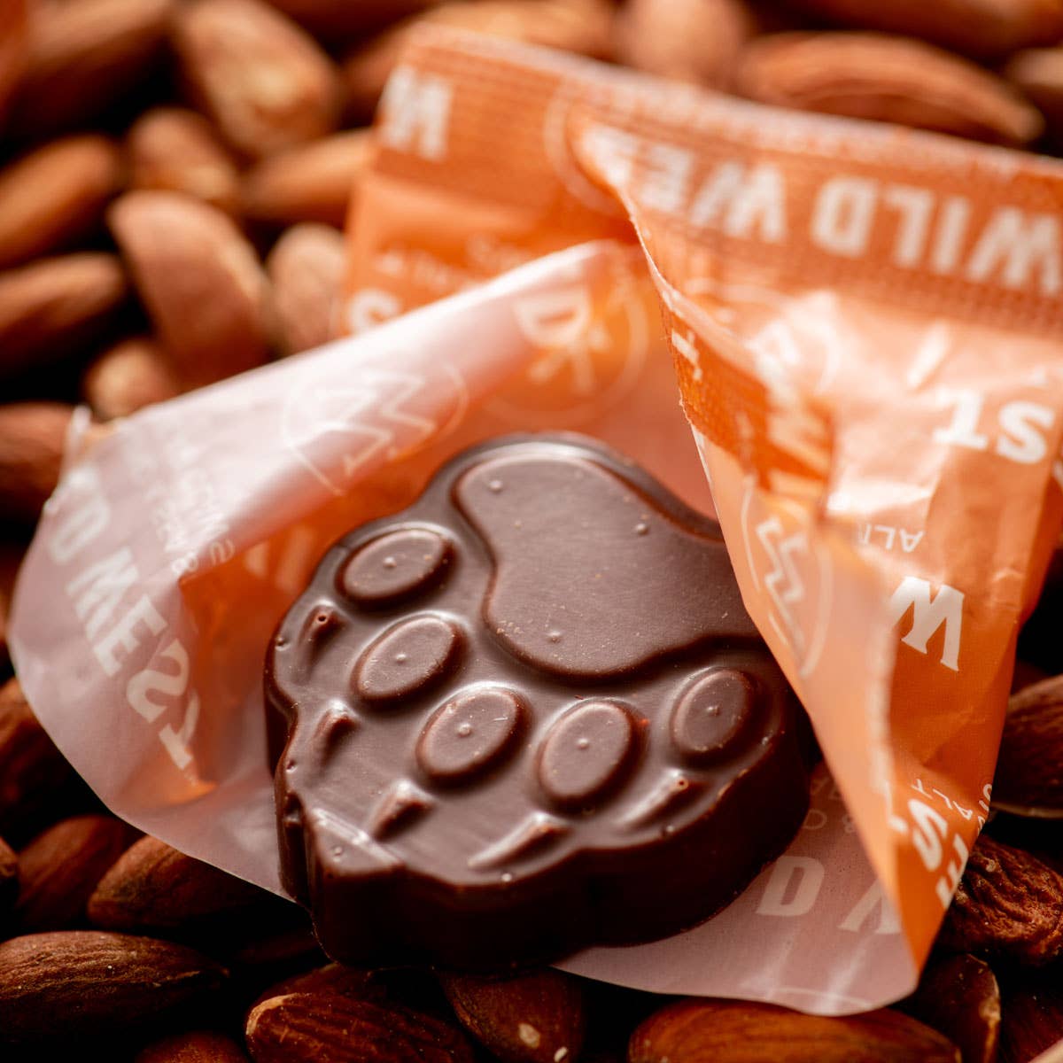 Wild West Chocolate - Wholesale Chocolate Covered Sweets - Almond & Sea Salt Bear Claws Master Case3